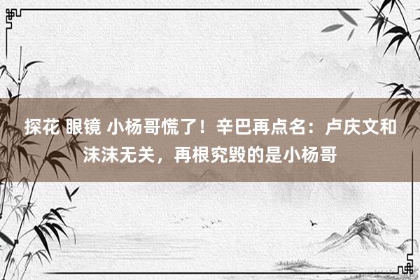 探花 眼镜 小杨哥慌了！辛巴再点名：卢庆文和沫沫无关，再根究毁的是小杨哥