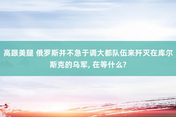 高跟美腿 俄罗斯并不急于调大都队伍来歼灭在库尔斯克的乌军， 在等什么?