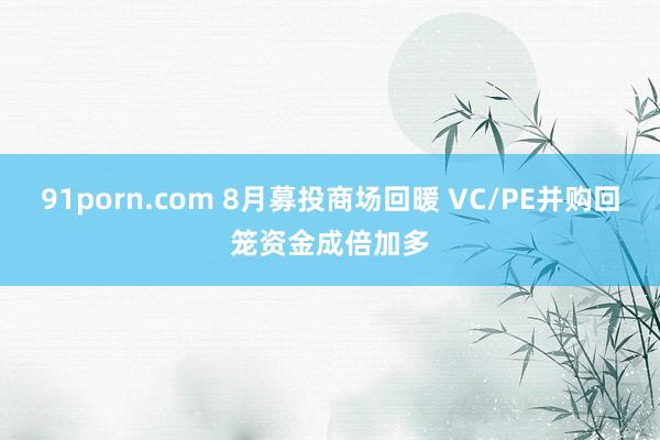 91porn.com 8月募投商场回暖 VC/PE并购回笼资金成倍加多