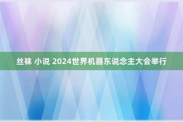 丝袜 小说 2024世界机器东说念主大会举行