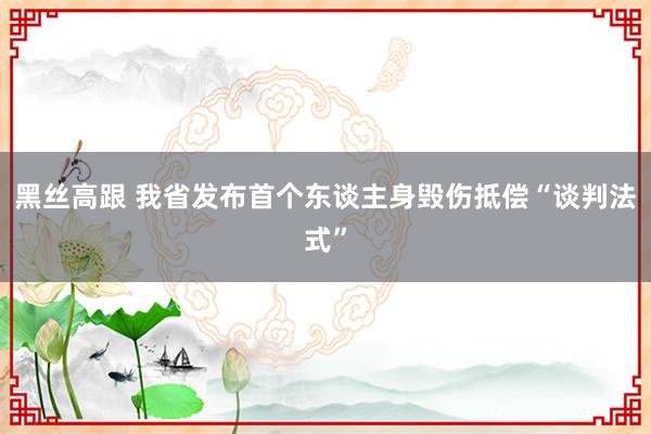 黑丝高跟 我省发布首个东谈主身毁伤抵偿“谈判法式”