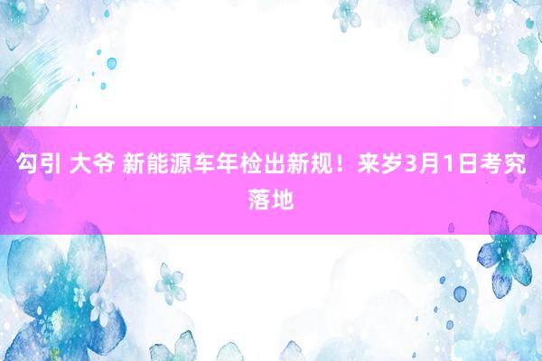 勾引 大爷 新能源车年检出新规！来岁3月1日考究落地