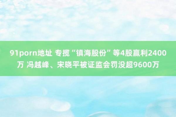 91porn地址 专揽“镇海股份”等4股赢利2400万 冯越峰、宋晓平被证监会罚没超9600万