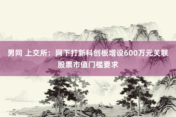 男同 上交所：网下打新科创板增设600万元关联股票市值门槛要求