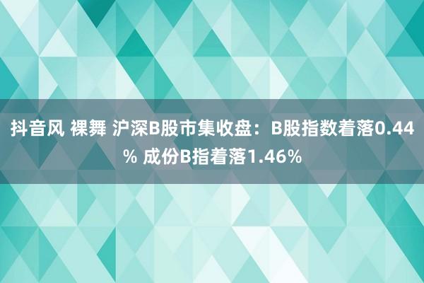 抖音风 裸舞 沪深B股市集收盘：B股指数着落0.44% 成份B指着落1.46%