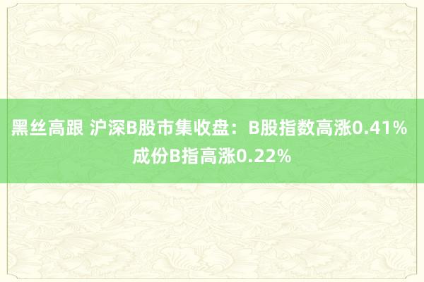 黑丝高跟 沪深B股市集收盘：B股指数高涨0.41% 成份B指高涨0.22%