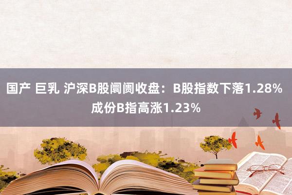 国产 巨乳 沪深B股阛阓收盘：B股指数下落1.28% 成份B指高涨1.23%