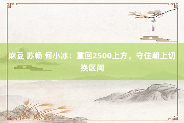 麻豆 苏畅 何小冰：重回2500上方，守住朝上切换区间