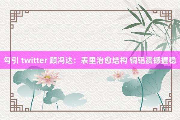 勾引 twitter 顾冯达：表里治愈结构 铜铝震撼握稳