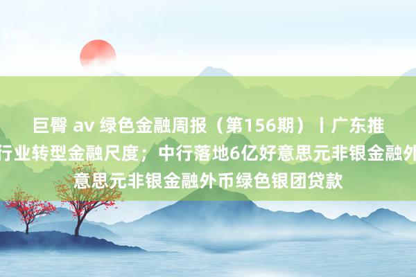 巨臀 av 绿色金融周报（第156期）丨广东推出世界首个陶瓷行业转型金融尺度；中行落地6亿好意思元非银金融外币绿色银团贷款