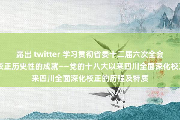 露出 twitter 学习贯彻省委十二届六次全会精神|划时期的校正　历史性的成就——党的十八大以来四川全面深化校正的历程及特质