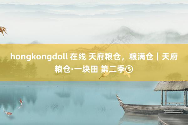 hongkongdoll 在线 天府粮仓，粮满仓｜天府粮仓·一块田 第二季⑤