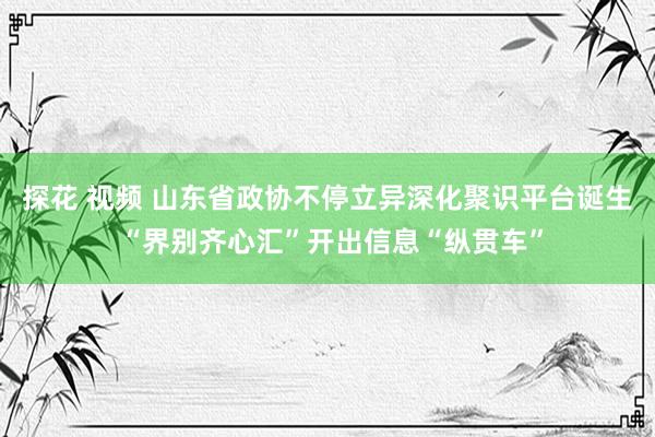 探花 视频 山东省政协不停立异深化聚识平台诞生 “界别齐心汇”开出信息“纵贯车”