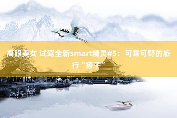 高跟美女 试驾全新smart精灵#5：可乘可野的旅行“搭子”