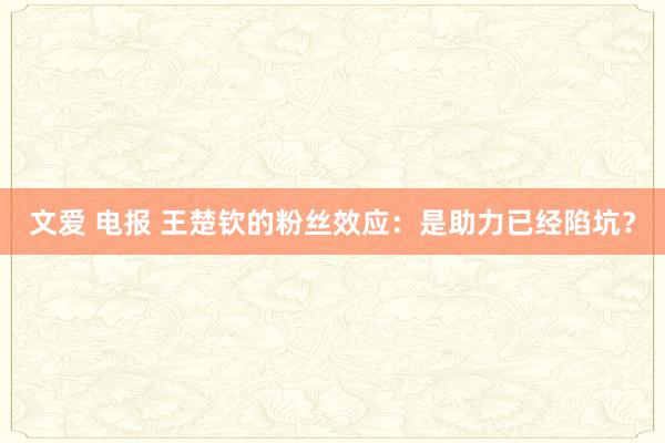 文爱 电报 王楚钦的粉丝效应：是助力已经陷坑？