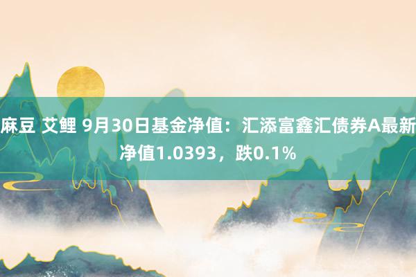 麻豆 艾鲤 9月30日基金净值：汇添富鑫汇债券A最新净值1.0393，跌0.1%