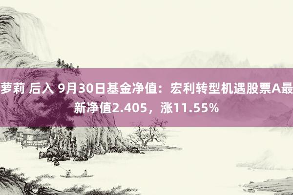 萝莉 后入 9月30日基金净值：宏利转型机遇股票A最新净值2.405，涨11.55%