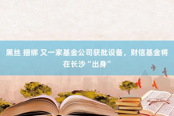 黑丝 捆绑 又一家基金公司获批设备，财信基金将在长沙“出身”