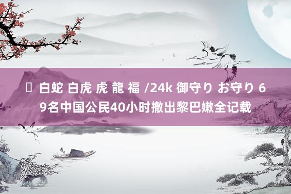 ✨白蛇 白虎 虎 龍 福 /24k 御守り お守り 69名中国公民40小时撤出黎巴嫩全记载