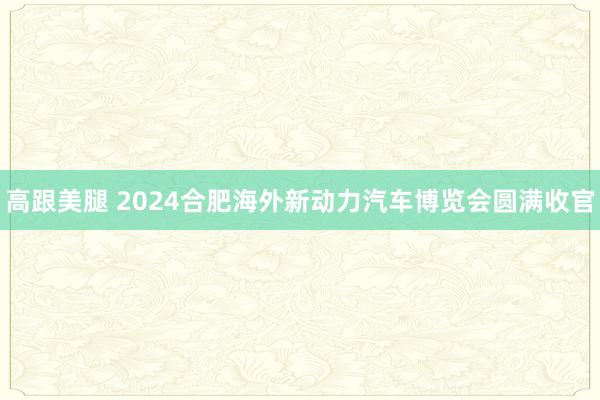 高跟美腿 2024合肥海外新动力汽车博览会圆满收官