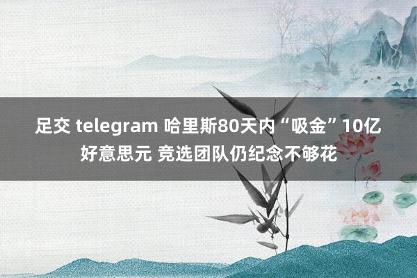 足交 telegram 哈里斯80天内“吸金”10亿好意思元 竞选团队仍纪念不够花