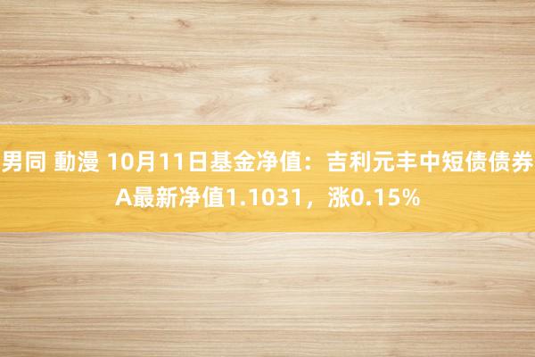 男同 動漫 10月11日基金净值：吉利元丰中短债债券A最新净值1.1031，涨0.15%