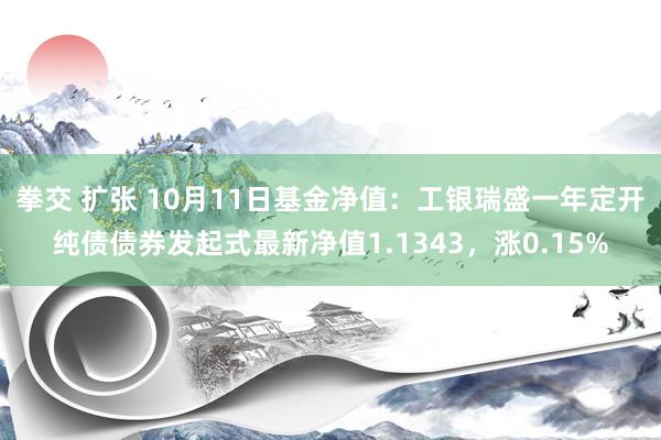 拳交 扩张 10月11日基金净值：工银瑞盛一年定开纯债债券发起式最新净值1.1343，涨0.15%