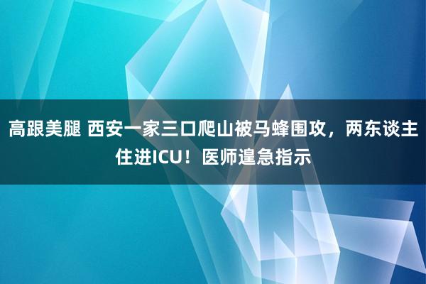 高跟美腿 西安一家三口爬山被马蜂围攻，两东谈主住进ICU！医师遑急指示