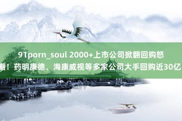 91porn_soul 2000+上市公司掀翻回购怒潮！药明康德、海康威视等多家公司大手回购近30亿！