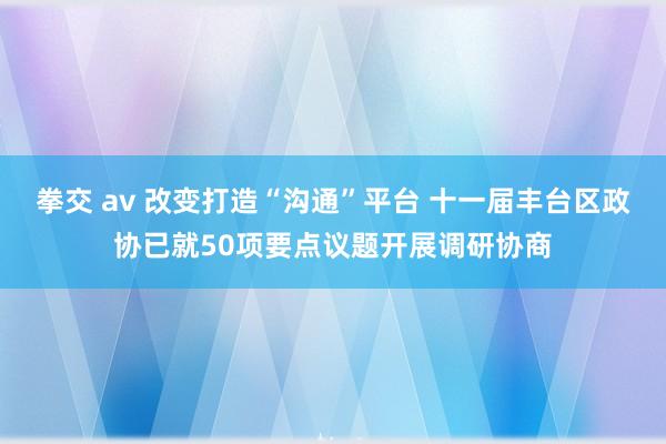 拳交 av 改变打造“沟通”平台 十一届丰台区政协已就50项要点议题开展调研协商