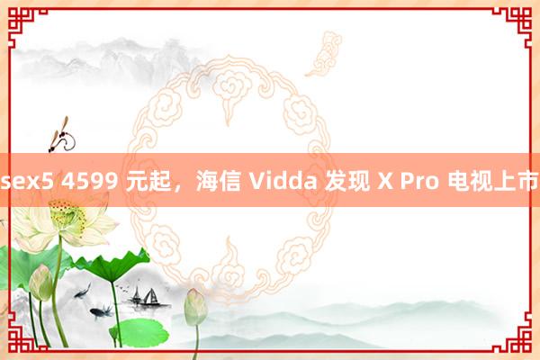 sex5 4599 元起，海信 Vidda 发现 X Pro 电视上市