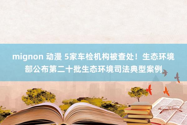 mignon 动漫 5家车检机构被查处！生态环境部公布第二十批生态环境司法典型案例