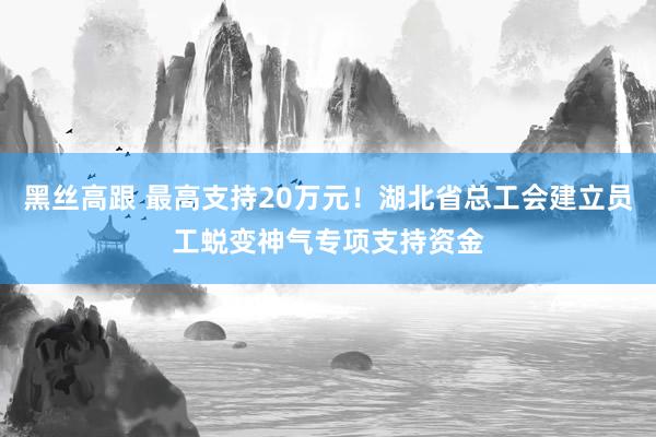 黑丝高跟 最高支持20万元！湖北省总工会建立员工蜕变神气专项支持资金