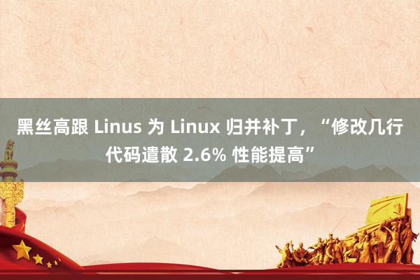 黑丝高跟 Linus 为 Linux 归并补丁，“修改几行代码遣散 2.6% 性能提高”