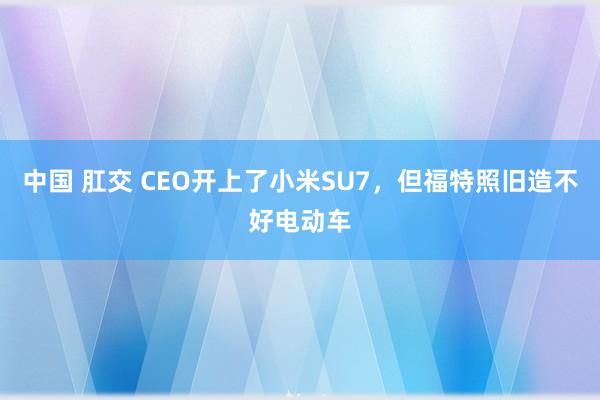 中国 肛交 CEO开上了小米SU7，但福特照旧造不好电动车