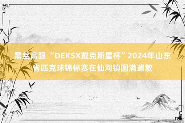 黑丝高跟 “DEKSX戴克斯星杯”2024年山东省匹克球锦标赛在仙河镇圆满遣散