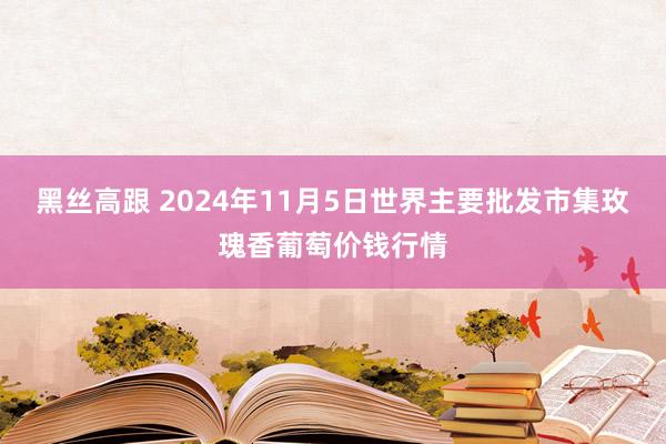 黑丝高跟 2024年11月5日世界主要批发市集玫瑰香葡萄价钱行情