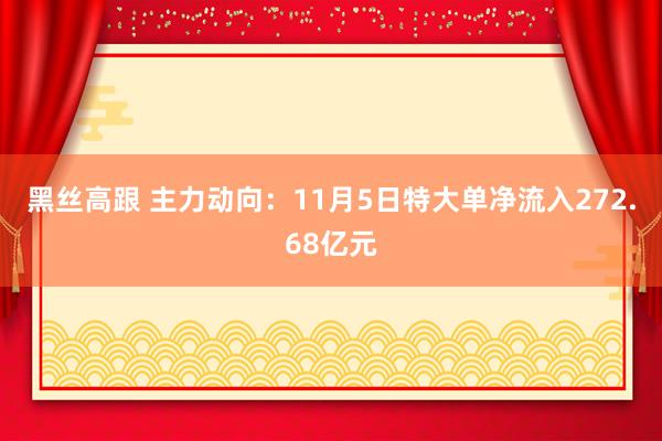 黑丝高跟 主力动向：11月5日特大单净流入272.68亿元