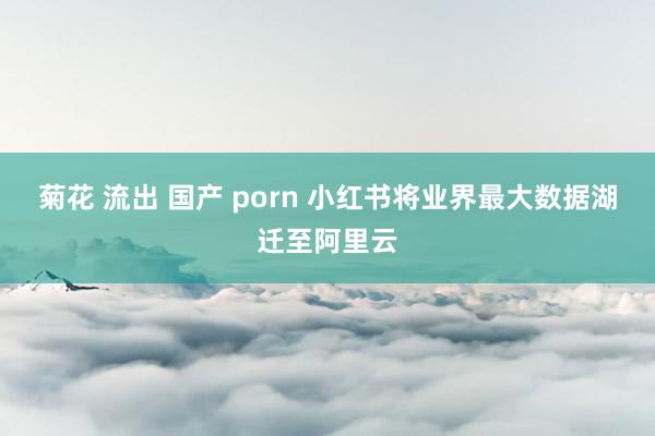 菊花 流出 国产 porn 小红书将业界最大数据湖迁至阿里云