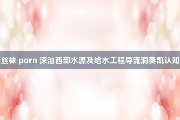 丝袜 porn 深汕西部水源及给水工程导流洞奏凯认知