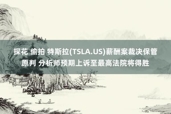 探花 偷拍 特斯拉(TSLA.US)薪酬案裁决保管原判 分析师预期上诉至最高法院将得胜