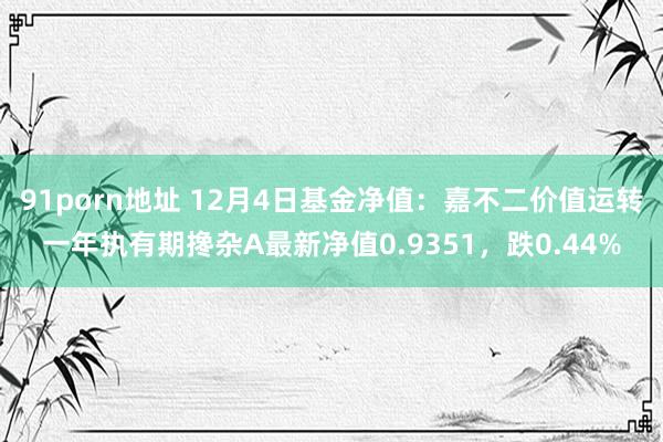 91porn地址 12月4日基金净值：嘉不二价值运转一年执有期搀杂A最新净值0.9351，跌0.44%