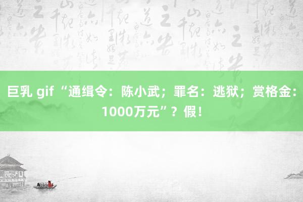 巨乳 gif “通缉令：陈小武；罪名：逃狱；赏格金：1000万元”？假！