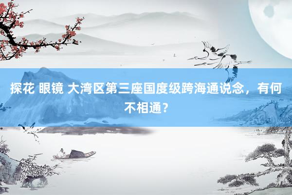 探花 眼镜 大湾区第三座国度级跨海通说念，有何不相通？