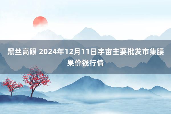 黑丝高跟 2024年12月11日宇宙主要批发市集腰果价钱行情