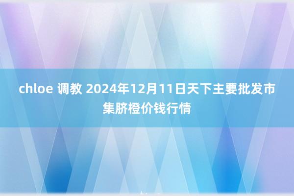 chloe 调教 2024年12月11日天下主要批发市集脐橙价钱行情