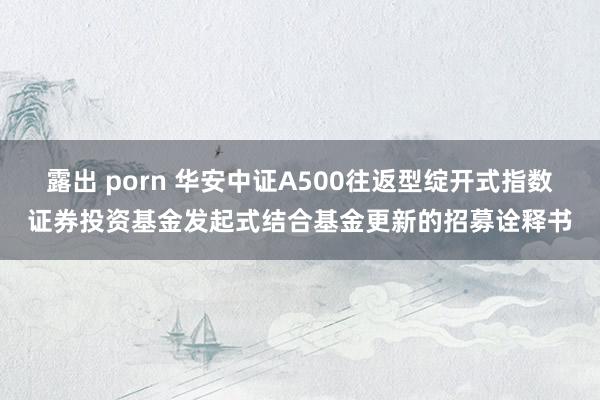 露出 porn 华安中证A500往返型绽开式指数证券投资基金发起式结合基金更新的招募诠释书