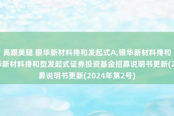 高跟美腿 银华新材料搀和发起式A，银华新材料搀和发起式C: 银华新材料搀和型发起式证券投资基金招募说明书更新(2024年第2号)