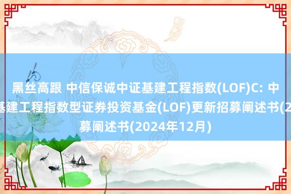 黑丝高跟 中信保诚中证基建工程指数(LOF)C: 中信保诚中证基建工程指数型证券投资基金(LOF)更新招募阐述书(2024年12月)