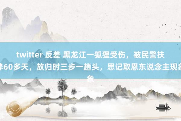 twitter 反差 黑龙江一狐狸受伤，被民警扶养60多天，放归时三步一趟头，思记取恩东说念主现象